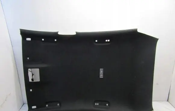 Ford Focus Headlining 1111