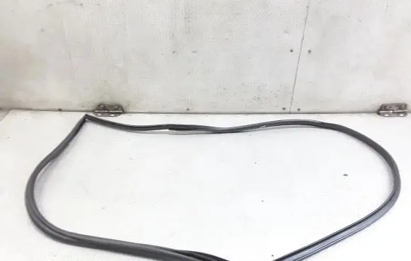Lexus NX Front door rubber seal