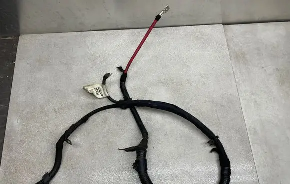 Opel Insignia A Wires (generator/alternator) 39018685