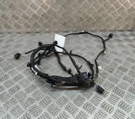Other wiring loom