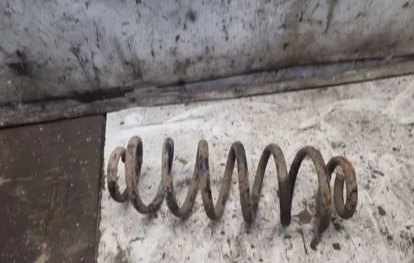 Volkswagen PASSAT B6 Rear coil spring