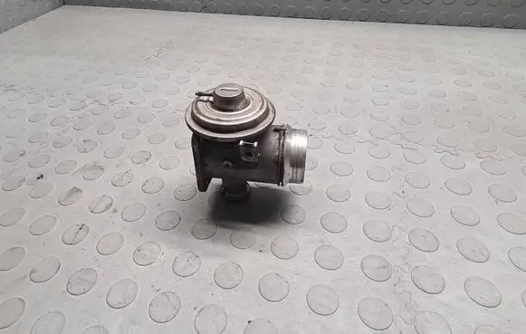 BMW X5 E53 EGR valve 7789999
