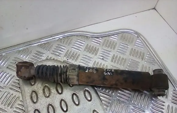 Peugeot 206 Rear shock absorber/damper 100681