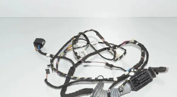 BMW 2 F22 F23 Front door wiring loom 9340975 9340968