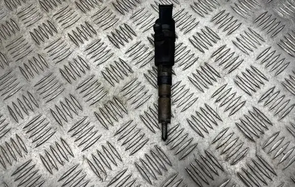 Peugeot 307 Fuel injector 0445110076