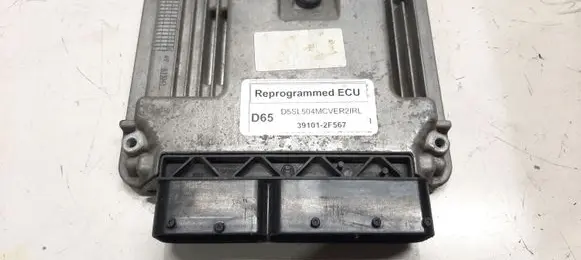 KIA Sportage Engine control unit/module 391012F567
