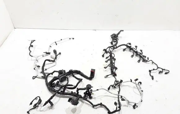 Engine installation wiring loom
