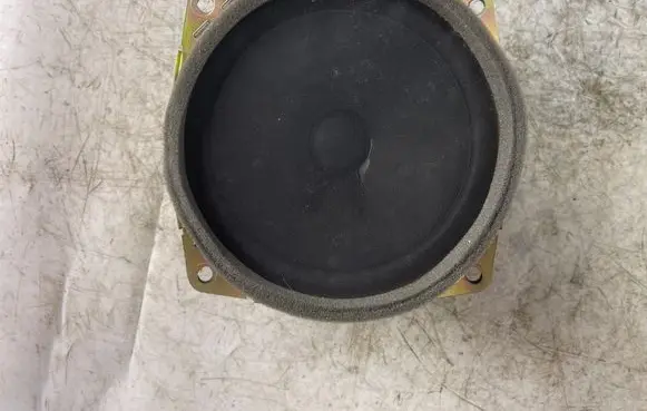 Front door speaker