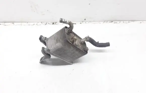 Volkswagen Phaeton Oil filter mounting bracket 3D0409061G