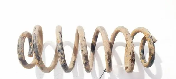 Rear coil spring