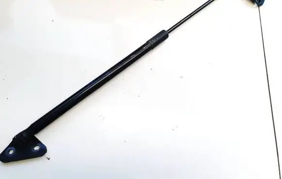 BMW X1 E84 Tailgate/trunk strut/damper 51242990136