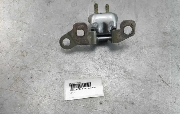 Renault Zoe Rear door upper hinge 824002857R