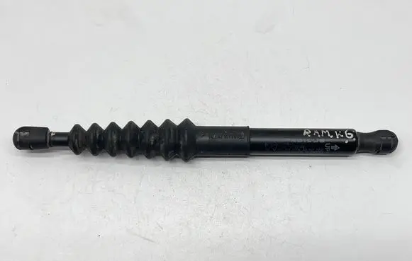Tailgate/trunk strut/damper