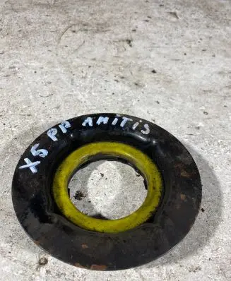 Coil spring mount
