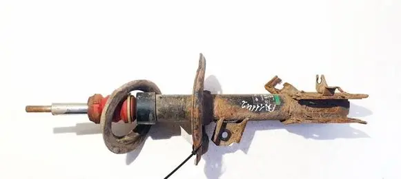 Nissan Qashqai Front shock absorber/damper 