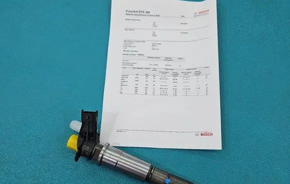 Renault Koleos I Fuel injector 0445115007 IMPRK1486032