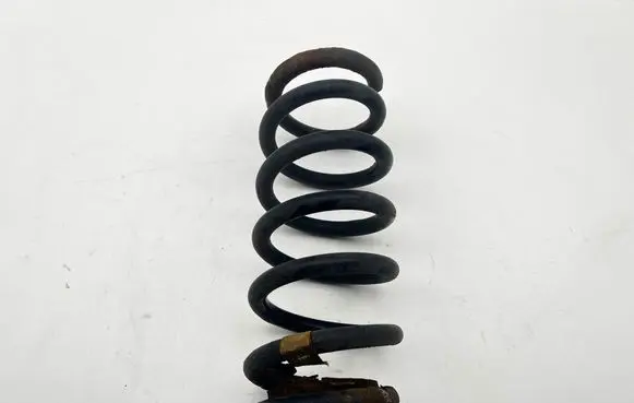Ford Edge II Rear coil spring 