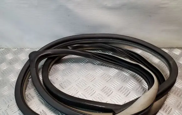 Chrysler Grand Voyager V Front door rubber seal