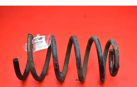 Rear coil spring