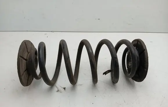 Opel Ampera Rear coil spring 22810673