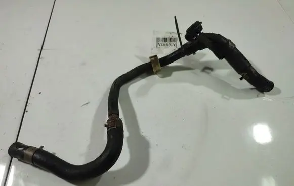 Nissan Almera Tino Engine coolant pipe/hose 