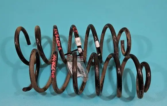 Rear coil spring