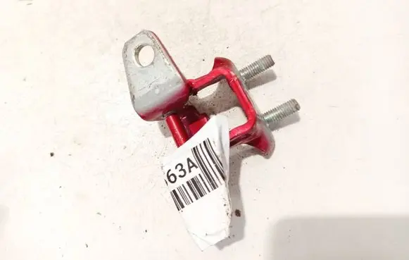 Rear door lower hinge