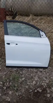 Hyundai Tucson TL Front door