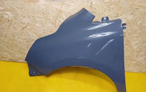 Renault Kangoo III Fender 631019140R