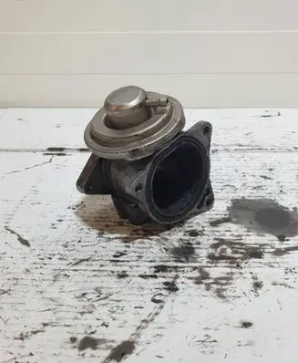 Volkswagen Golf IV EGR valve 038131501S 333208062 038129637D