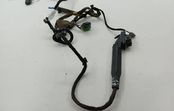 Front door wiring loom