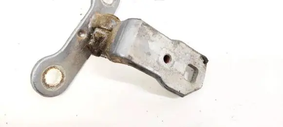 Rear door lower hinge