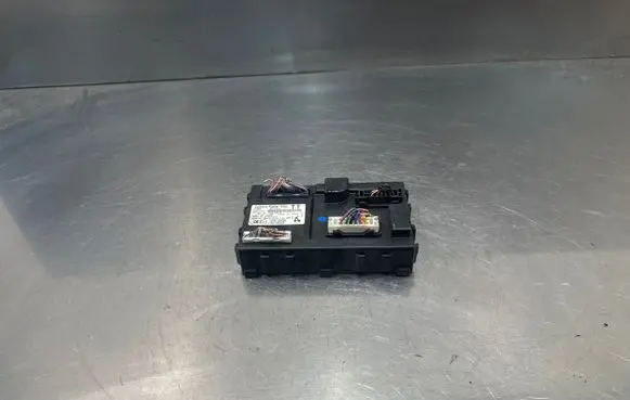 Nissan Leaf I (ZE0) Other control units/modules 116RAI000258 284B13NE0A 116RI000259
