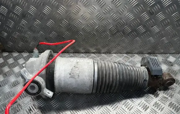 Volkswagen Touareg I Rear shock absorber/damper 7L6512021AG 15140002534 050224063559