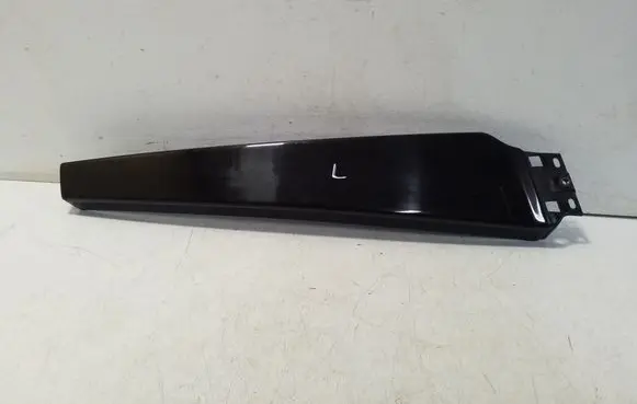 Other front door trim element