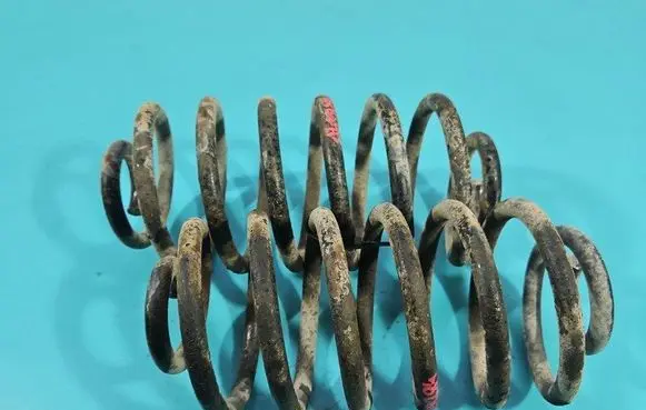 Rear coil spring