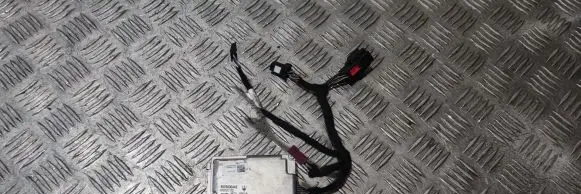 Windshield/windscreen camera