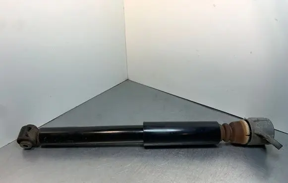 Hyundai Ioniq Rear shock absorber/damper 55310XXX01