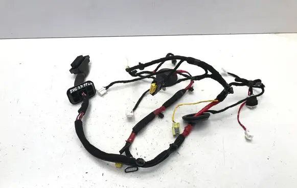 KIA EV6 Front door wiring loom 91605CV200