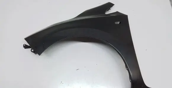 Nissan Leaf I (ZE0) Fender F31013NAAA