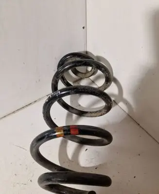 Rear coil spring