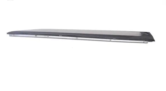 Toyota Prius (XW50) Rear door glass trim molding