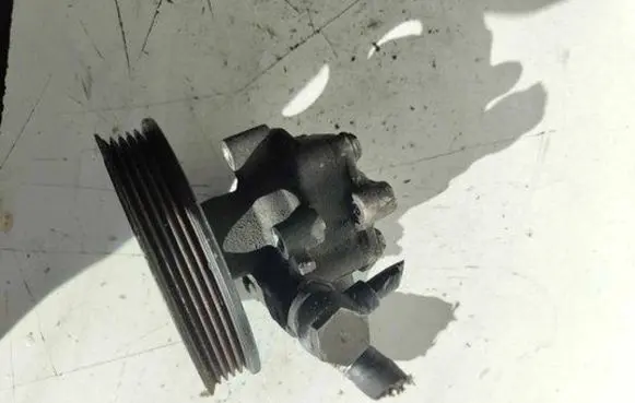 Volkswagen PASSAT B5.5 Power steering pump