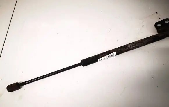 Hyundai Santa Fe Tailgate/trunk strut/damper 8116126001