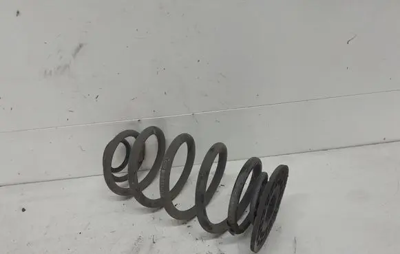 Rear coil spring
