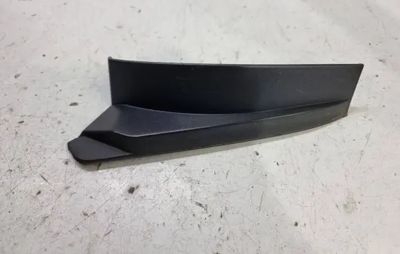 Rear/tail light trim molding