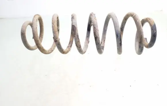 Volkswagen Golf IV Rear coil spring