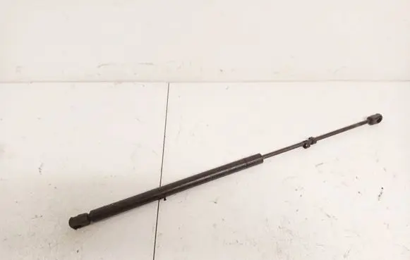 Tailgate/trunk strut/damper