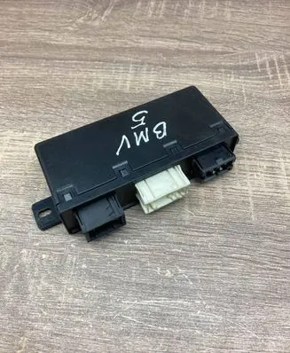BMW 5 E39 Door control unit/module 6904255