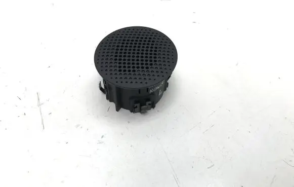 Panel speaker